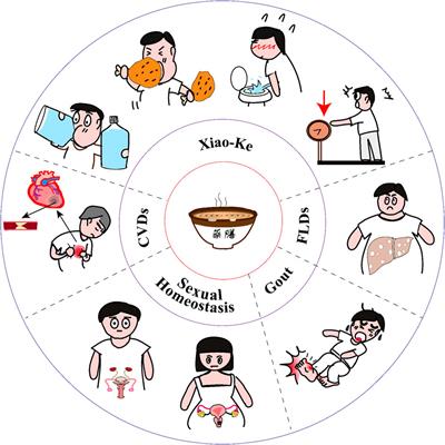 Yao-Shan of traditional Chinese medicine: an old story for metabolic health